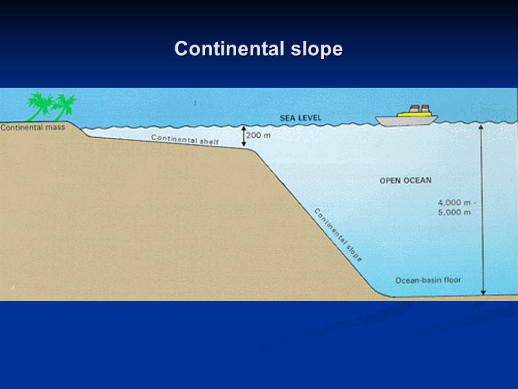 Continental slope